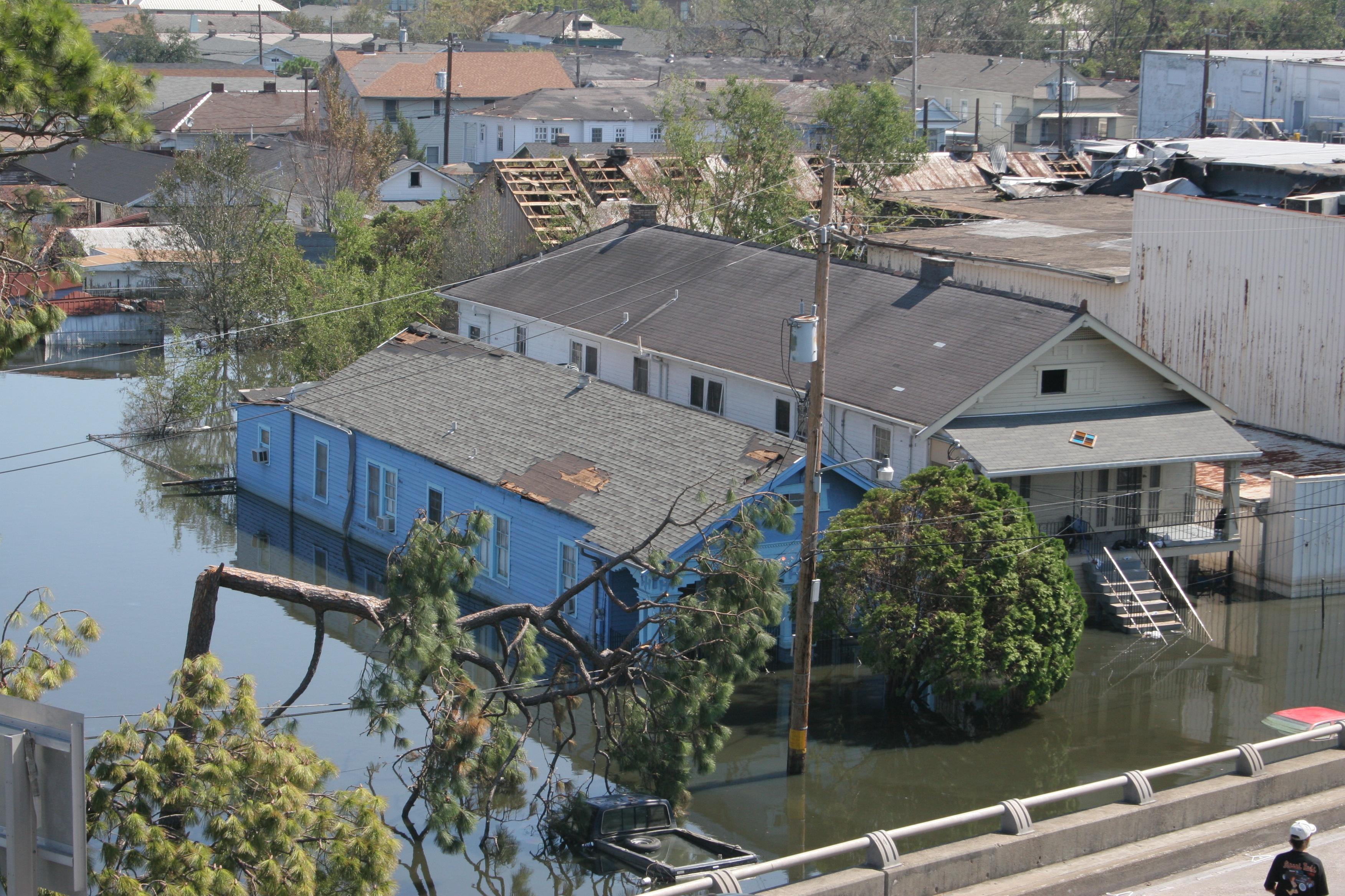 Twenty Years After Katrina How Levee Failures Changed America School