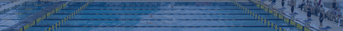 Image of a pool with swimmers.